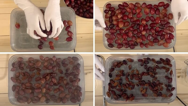 Xếp nho lên khay và sấy khô