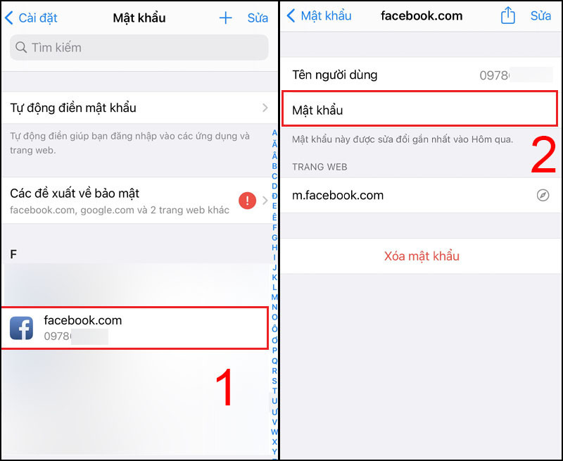 Chọn vào Facebook để hiển thị mật khẩu