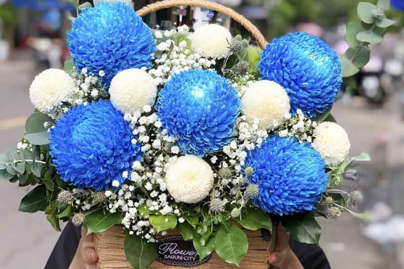 Giỏ hoa cúc mẫu đơn 