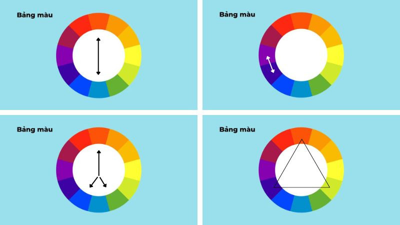 Bảng phối màu khi cắm hoa