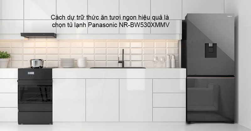 Tủ Lạnh Panasonic 2 cánh ngăn đá dưới NR-BW530XMMV với dung tích 500L.