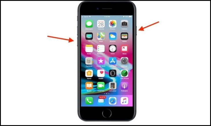 Bạn nhấn giữ nút nguồn và giảm âm lượng rồi thả tay khi màn hình hiển thị logo Apple.