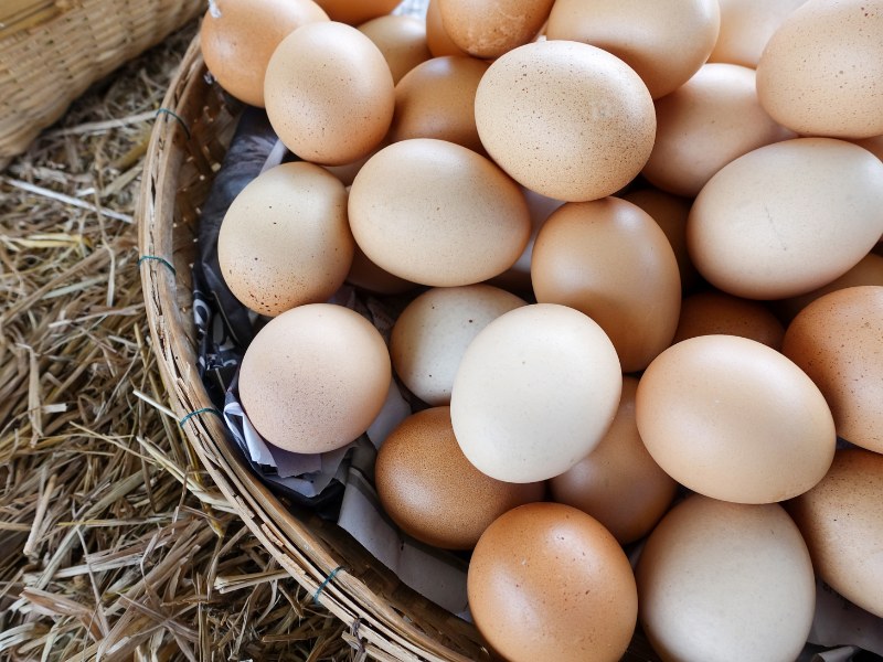 Khám phá xem 1 quả trứng gà bao nhiêu calo