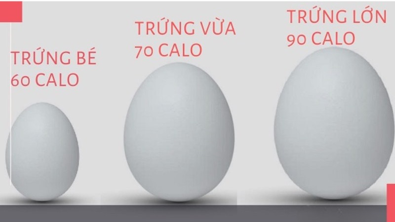 Trứng gà chứa nhiều dưỡng chất như protein, chất béo, các vitamin