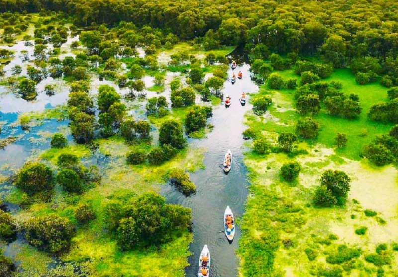 rừng tràm trà sư là địa điểm du lịch nổi tiếng tại An Giang