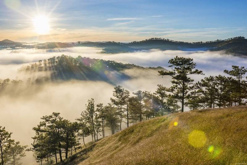 Đà Lạt - Thành phố ngàn hoa đầy thơ mộng