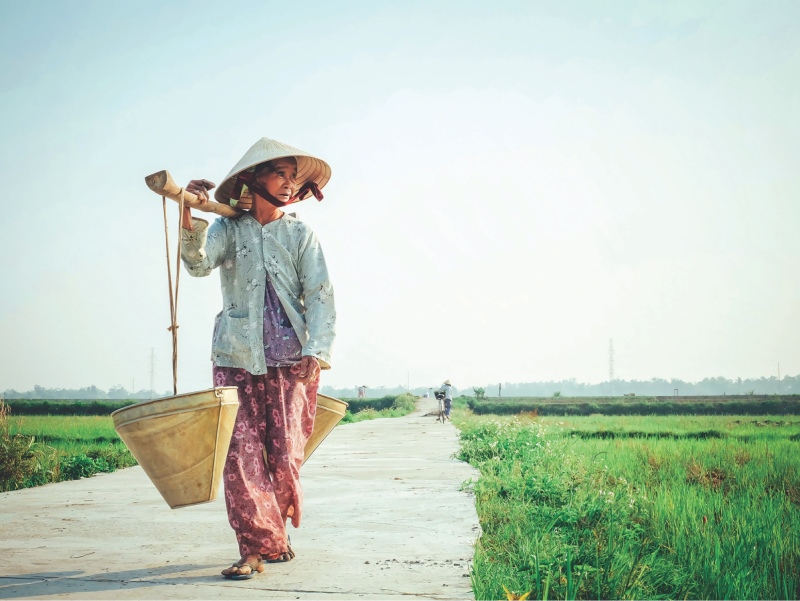 Người phụ nữ gánh quang gánh trên đường quê
