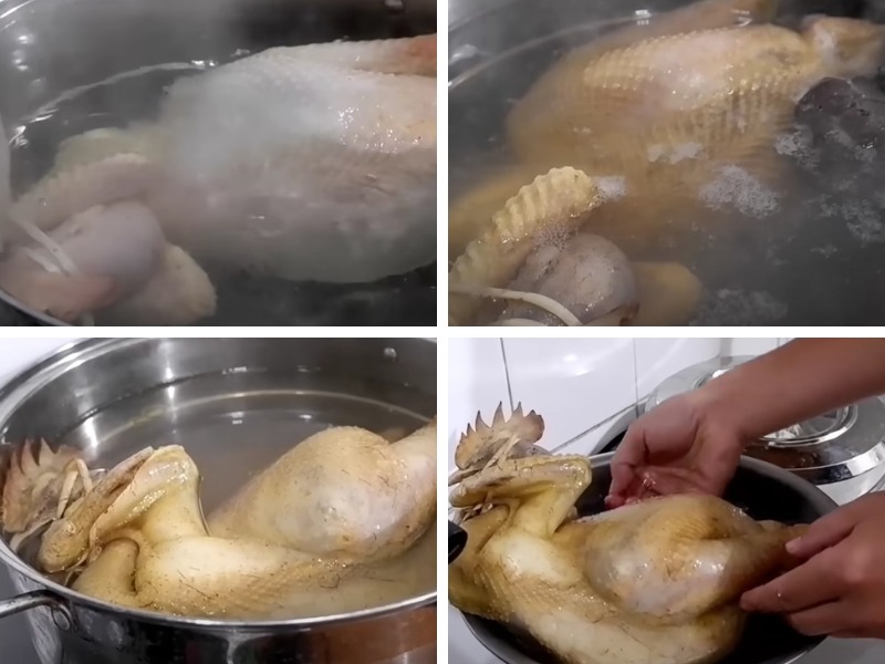 Tiến hành công đoạn luộc gà