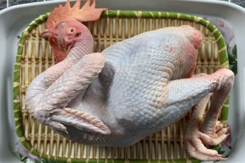 Bí quyết chọn mua gà nguyên liệu 