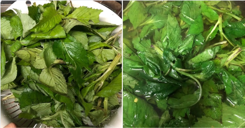 hướng dẫn sơ chế rau tàu bay