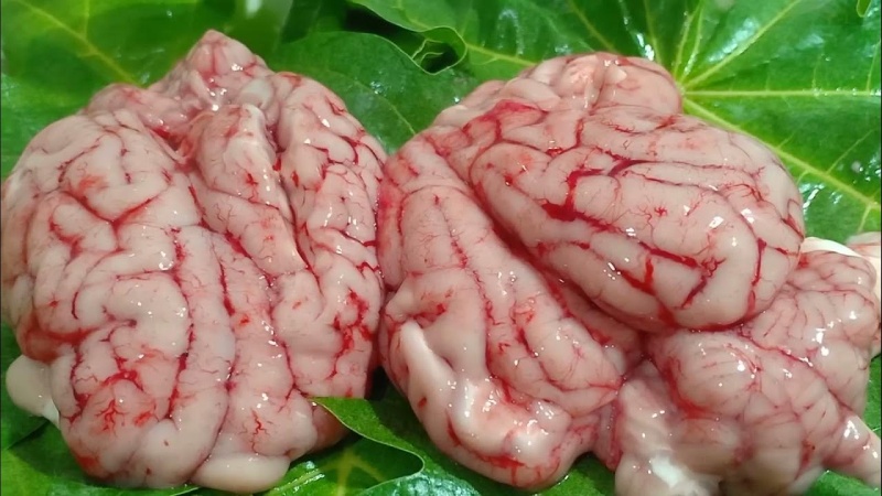 Hai bộ óc heo tươi có thể làm được nhiều món ngon