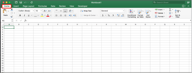Giao diện Excel trên Mac với tab Home đang được chọn