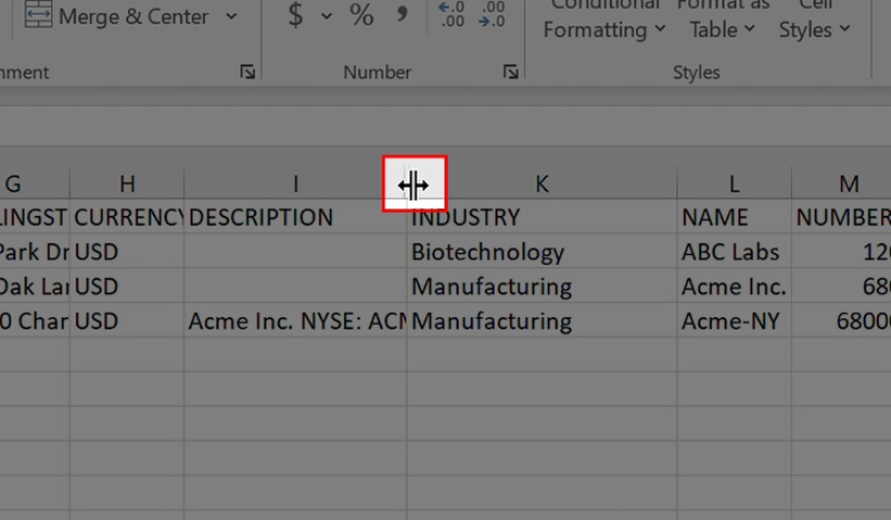 Hiển thị cột bằng cách mở rộng cột bị ẩn bước 1