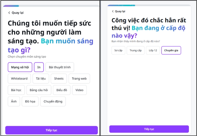 Chọn lĩnh vực sáng tạo và cấp độ kỹ năng rồi nhấn tiếp tục