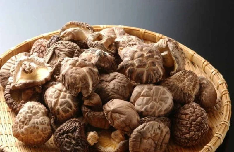 Nấm đùi gà tươi ngon