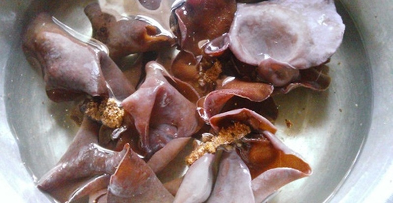 Ngâm mộc nhĩ