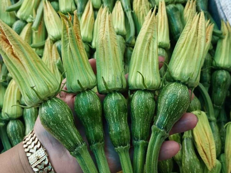 Bí quyết chọn mua bí nụ tươi ngon