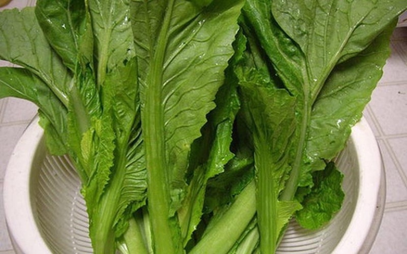 Tiến hành sơ chế rau cải xanh