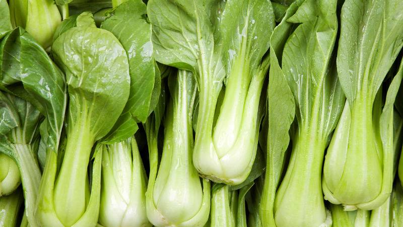 Cải thìa phải còn xanh và cọng to