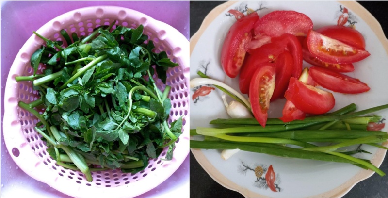 Cải xoong, hành lá và cà chua sơ chế trước khi chế biến