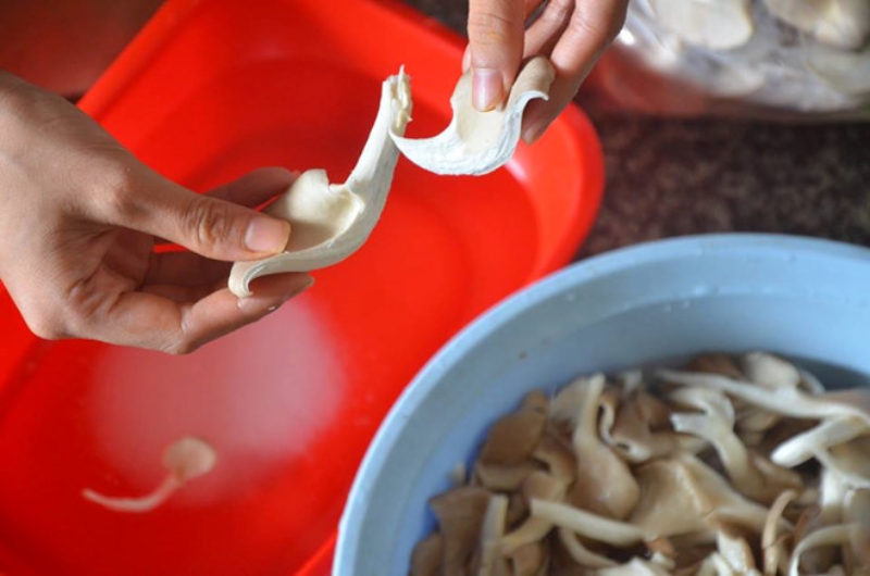 rửa sạch và xé nhỏ nấm bào ngư