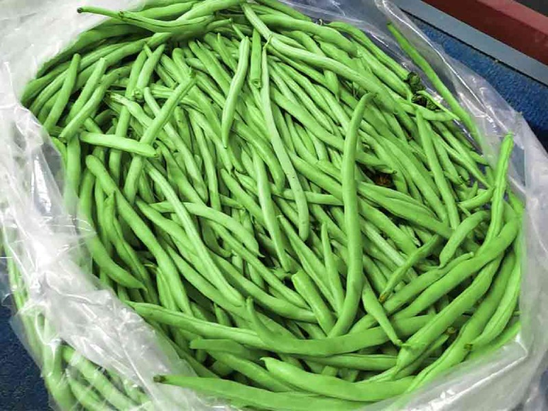 Đậu đũa non, không sâu