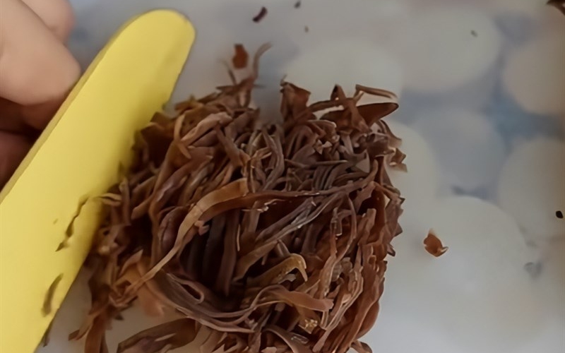 Thái nấm mèo