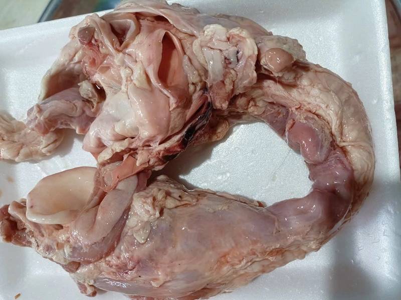 Bí quyết chọn mua cuống họng heo tươi ngon