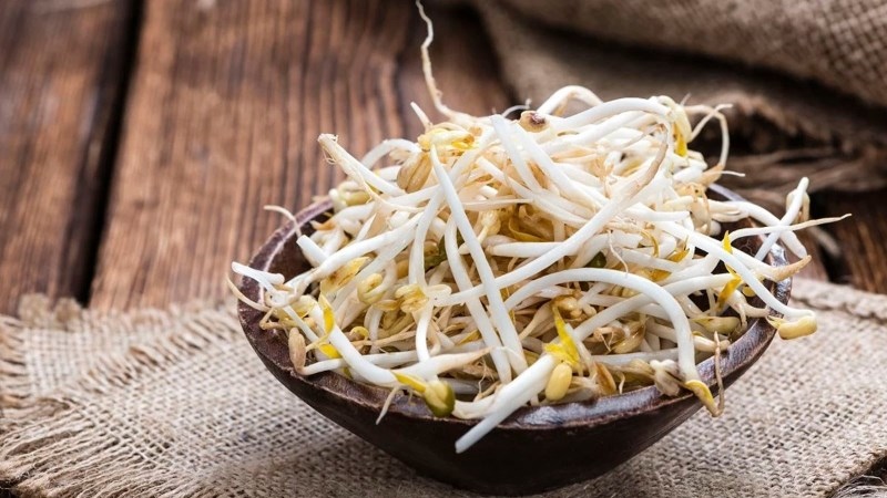 Giá đỗ tươi sống trong tô chuẩn bị muối chua