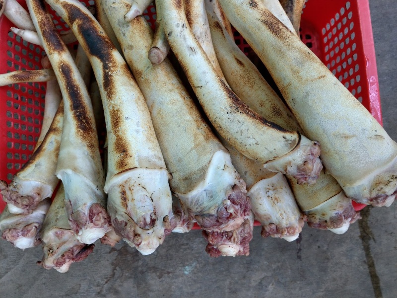 Bí quyết chọn đuôi bò tươi ngon