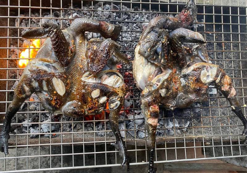 Khám phá cách làm gà ác nướng muối ớt 