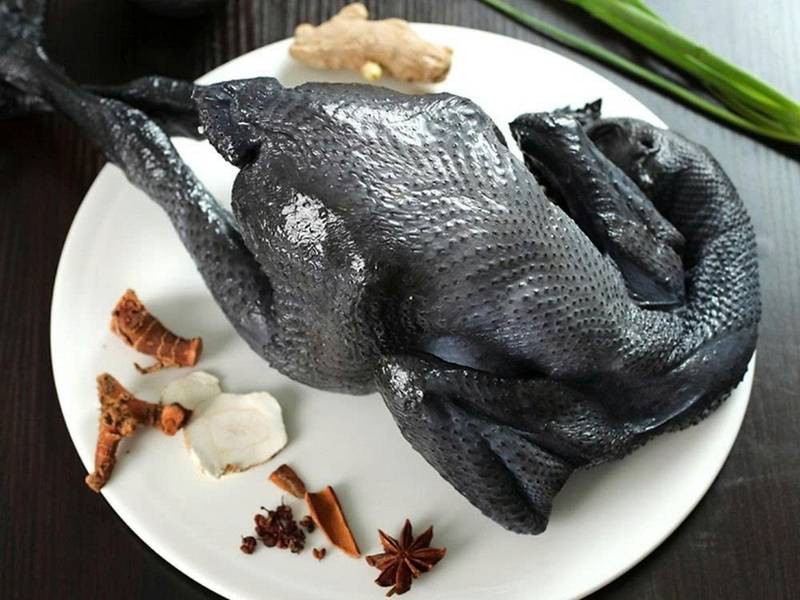 Tiến hành công đoạn sơ chế gà ác