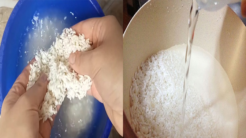 Công đoạn Sơ chế gạo nếp