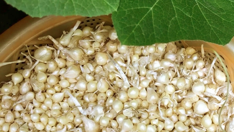 mẹo chọn nguyên liệu ngon
