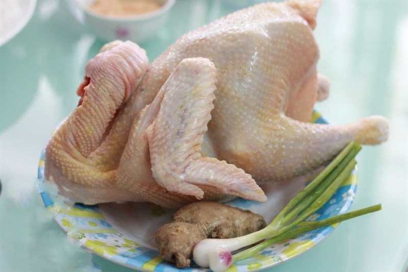 Bí quyết lựa chọn gà chất lượng