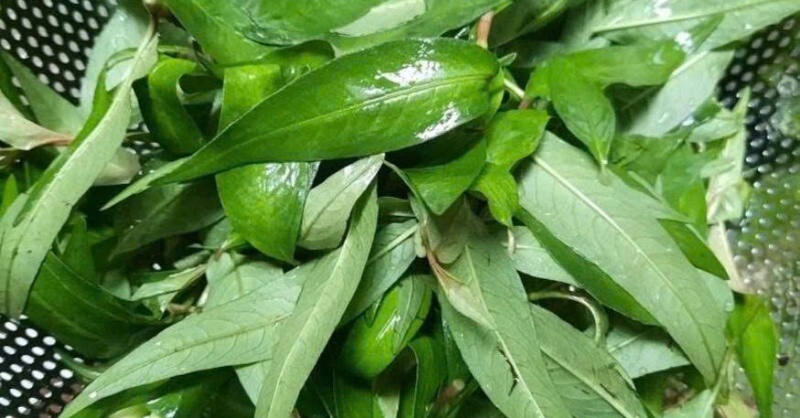 Rau răm được rửa sạch