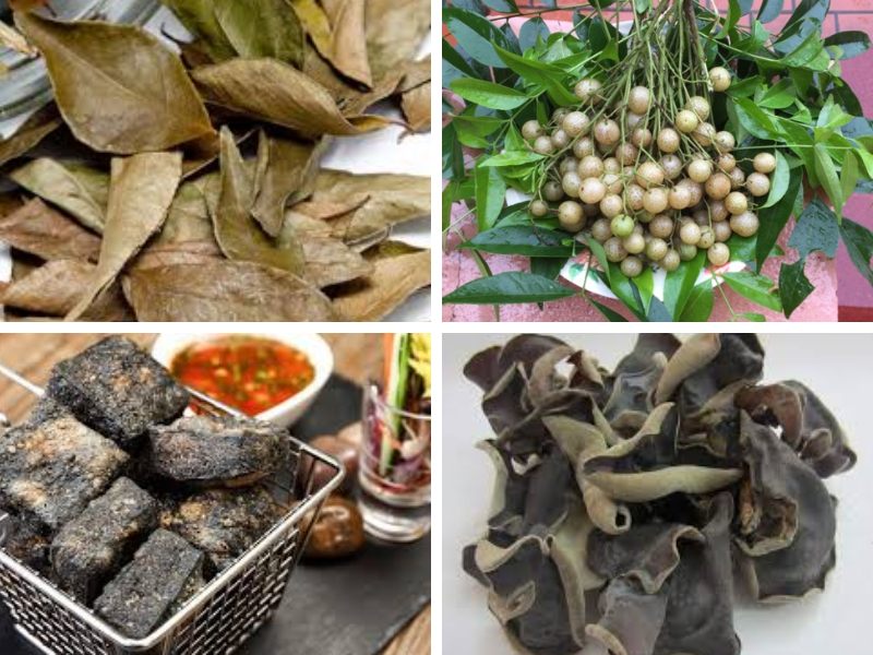 Các thành phần như lá mắc mật, quả mắc mật, đậu phụ thối