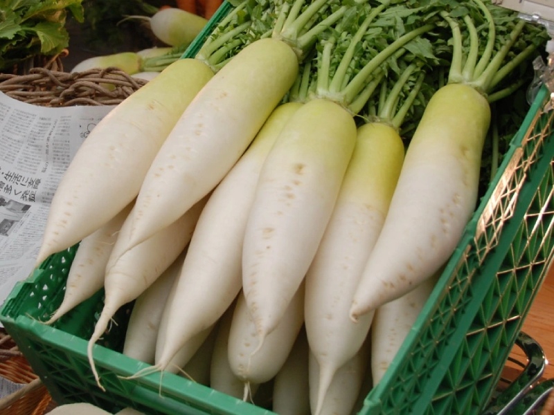 chọn mua củ cải tươi giúp món ăn ngon chuẩn vị hơn