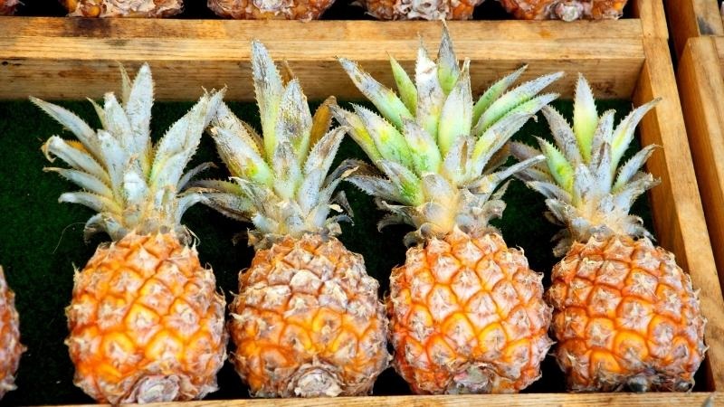 Bí quyết lựa chọn dứa thơm ngon