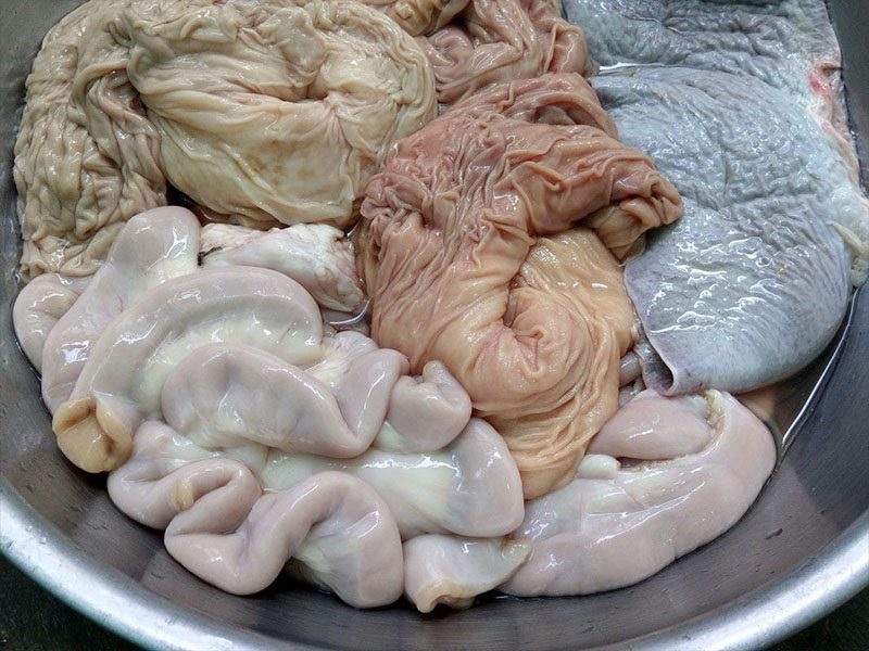 Bí quyết chọn lòng tươi ngon