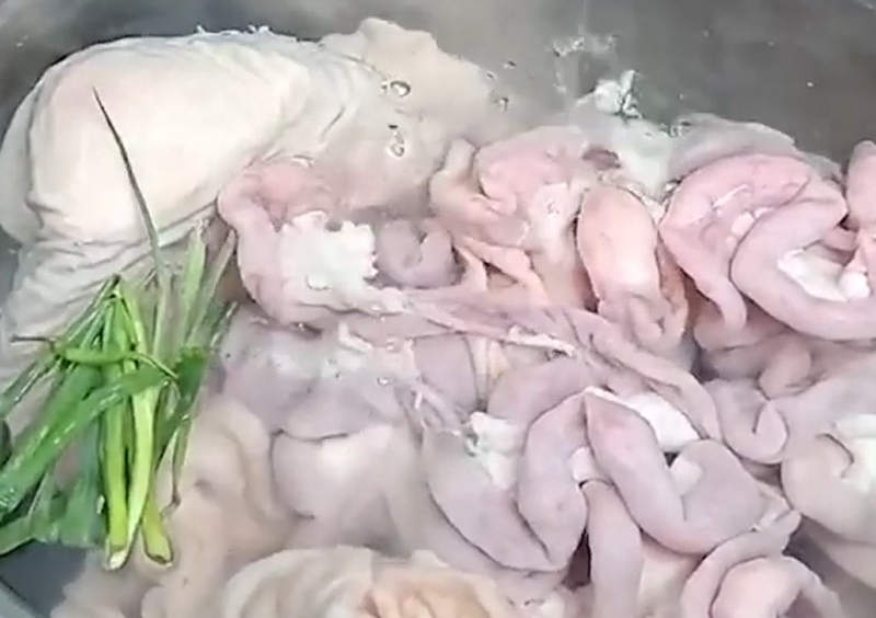 Luộc lòng heo với gừng và hành