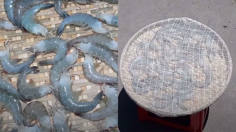  phơi tép ngoài nắng gắt từ 4 - 6 tiếng