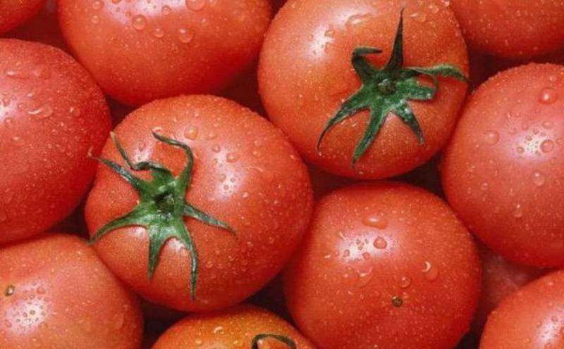 Bí quyết chọn mua cà chua tươi ngon