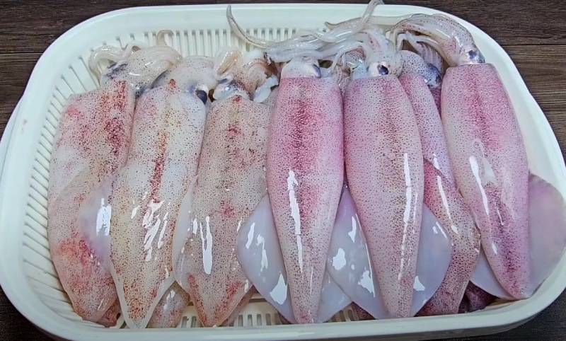 Mực tươi rói