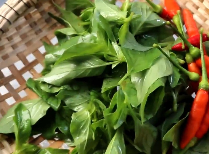 Lá é xanh tươi và ớt đỏ đặt trong rổ tre chuẩn bị làm muối