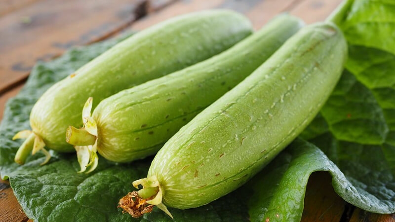 Những quả mướp tươi, non