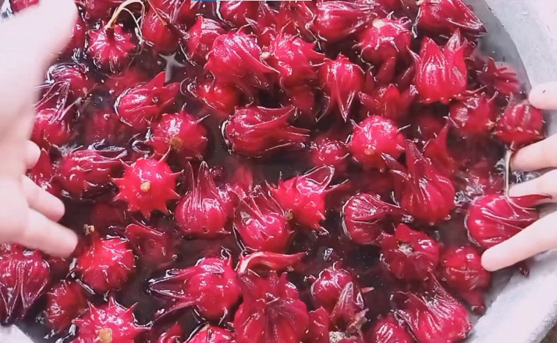 Hoa atiso đỏ tươi được rửa sạch chuẩn bị làm mứt