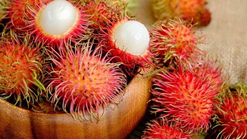 Chôm chôm tươi dùng để làm mứt