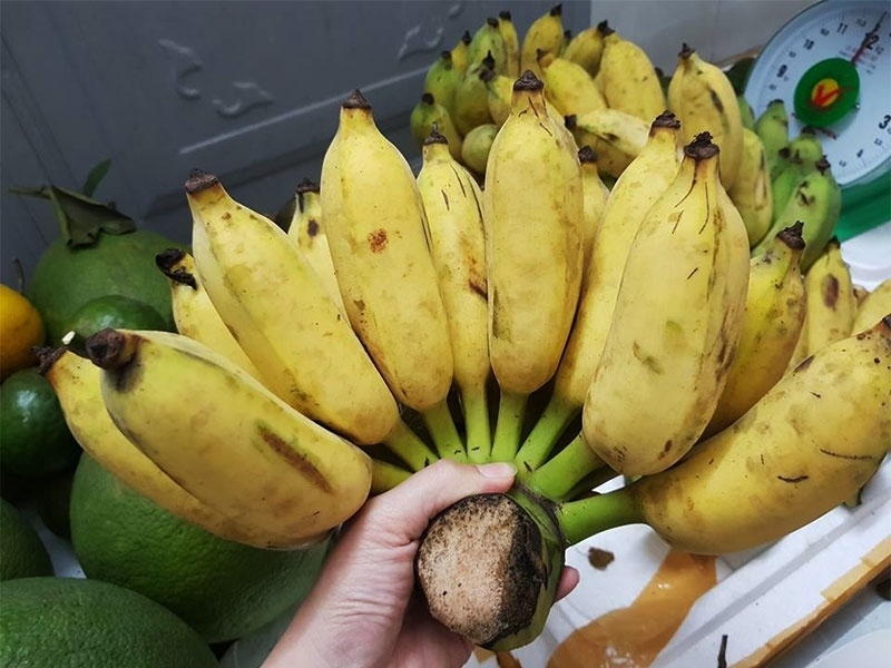 Nải chuối xiêm chín tươi