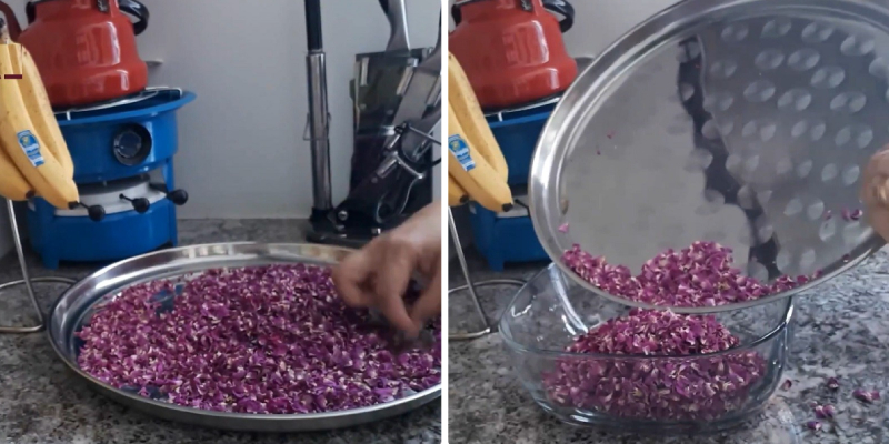 Ướp hoa hồng với đường